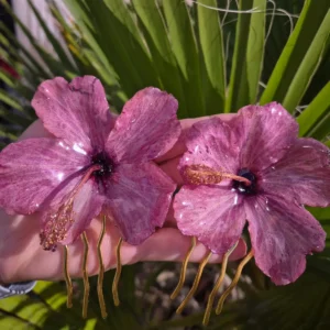 Par de peinas para el pelo con flores de hibisco naturales encapsuladas en resina.